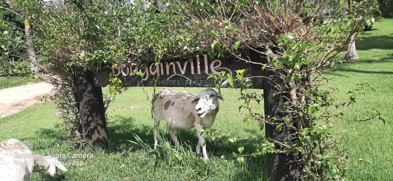 Bougainville Hotel Fazenda Amparo  Εξωτερικό φωτογραφία